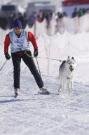 Lenk 2013